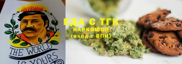 гидра Богородск