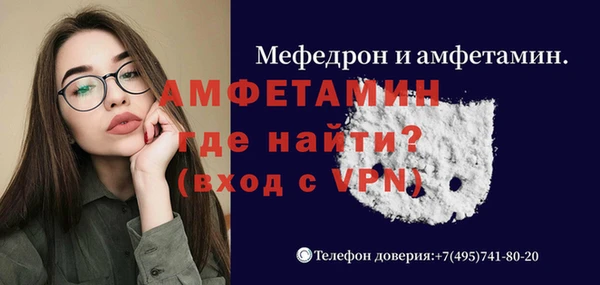 гидра Богородск
