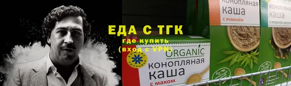 гидра Богородск