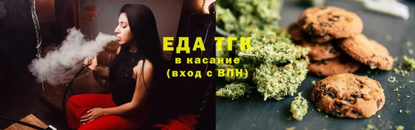 гидра Богородск