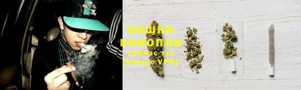 гидра Богородск