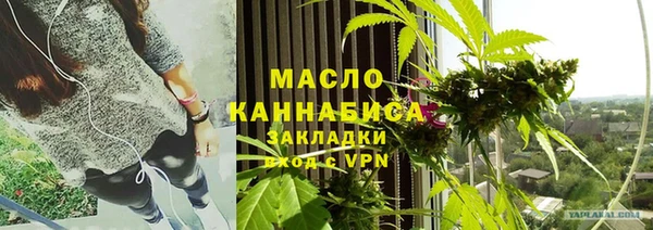 гидра Богородск