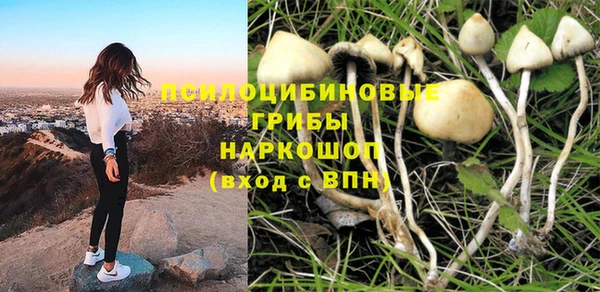 гидра Богородск