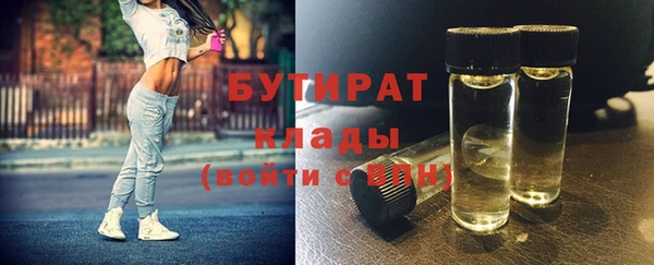 гидра Богородск