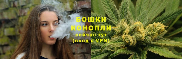 гидра Богородск