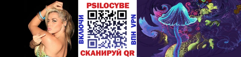 Купить где  Урай  Псилоцибиновые грибы Cubensis 